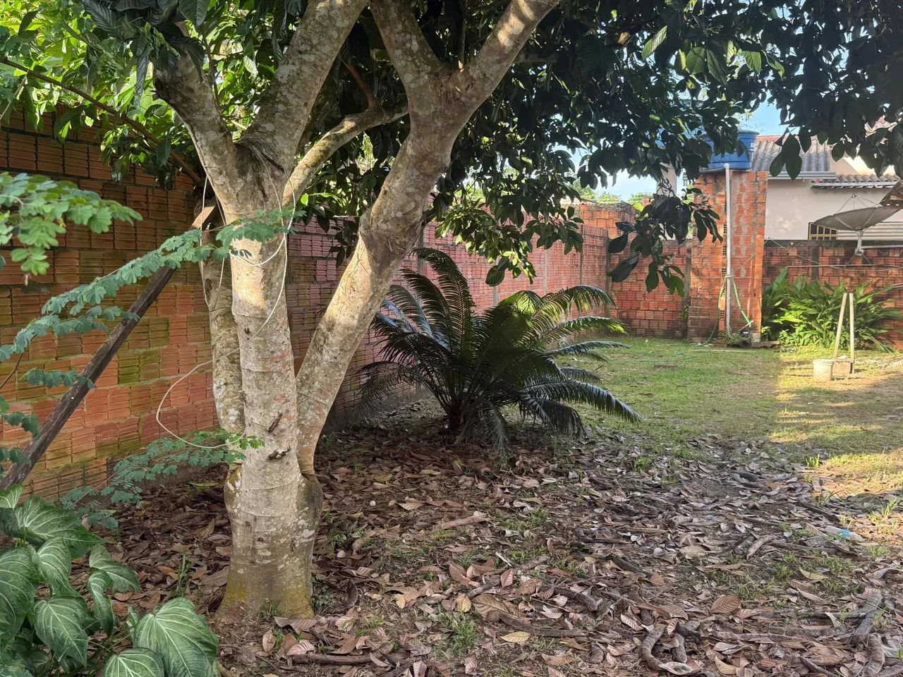 Casa à venda Ramal da Palheira(Ramal do canil) - Foto 5