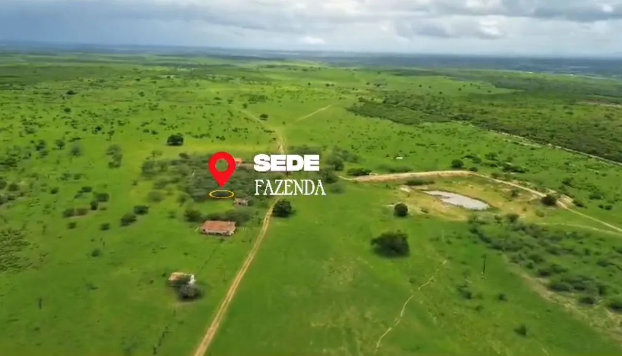 Fazenda com 1.068 tarefas  próximo a Arapiraca-AL. - Foto 3