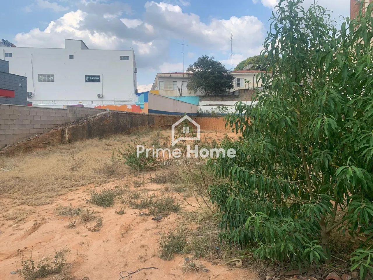 terreno - Jardim Proença - Campinas - Foto 4