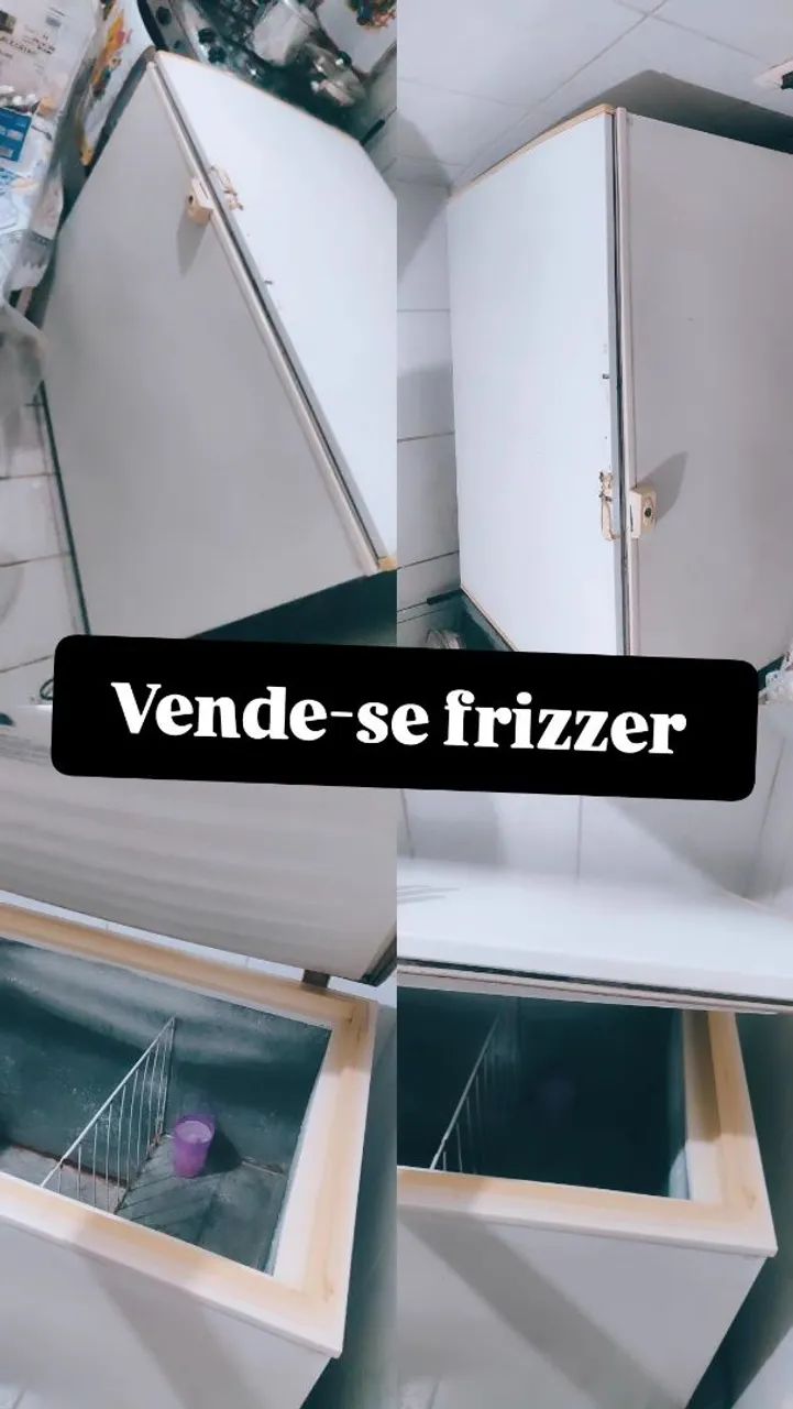 Frizzer 