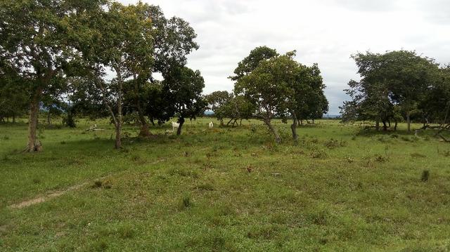 Fazenda 10 km da cidade Cuiaba - pedra 90 - Foto 14
