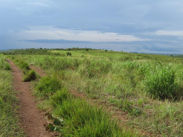 Almas-TO - Fazenda distante de Palmas 210 Km - Foto 19
