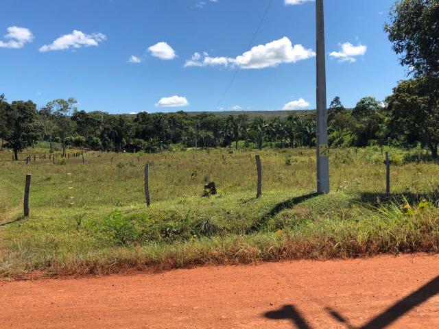 Chácara Km 8,5 depois de lajeado - Lajeado - TO - Foto 10