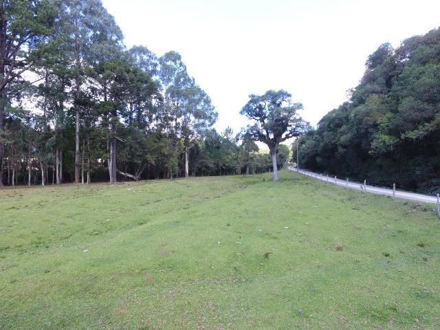 Terreno em Urubici - Foto 14
