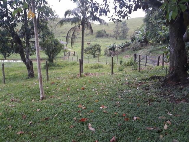Linda fazendinha em Cachoeiras de Macacu oportunidade!!!! - Foto 17