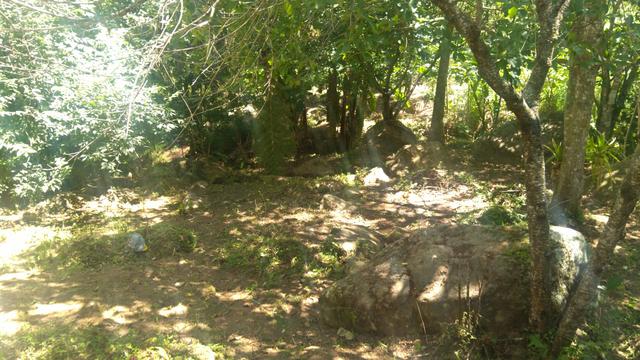 Terreno - Foto 3