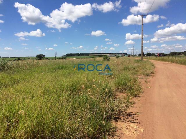 Rural - Não tem bairro - Foto 15