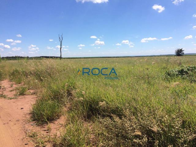 Rural - Não tem bairro - Foto 9