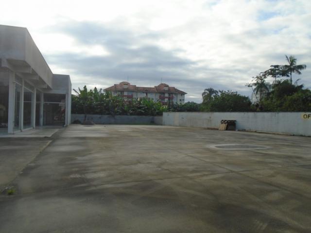 Terreno para alugar em Santo antonio, Joinville cod:08135.002 - Foto 3