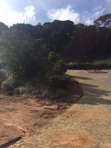Terreno residencial à venda, Prata, Teresópolis. - Foto 3