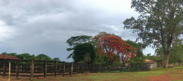 Fazenda plana e rica em água, 24 Alqueires (116.16 ha ) Bela Vista de Goias - Foto 10