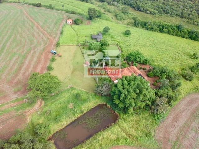 Fazenda 30 alqueires ( 145,20 ha ) Guapó-GO soja e pecuária - Foto 11