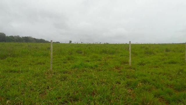 300 Alqs 200 Em Pasto Excelente Fazenda Paraúna GO - Foto 11
