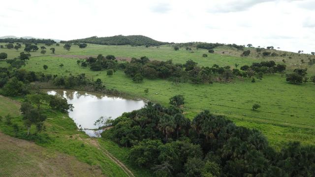 Oportunidade Extra Fazenda 100 Alqueires ou 484 Hectares Aragoiânia