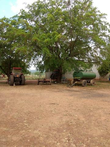 Fazenda de 216 alqueires 1.045,44 hectares- Miracema do Tocantins-TO - Foto 9