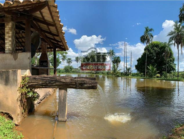 Venda ou Troca por Terra Maior,Chácara 8 alqueires e 25 litros - Bela Vista de Goiás