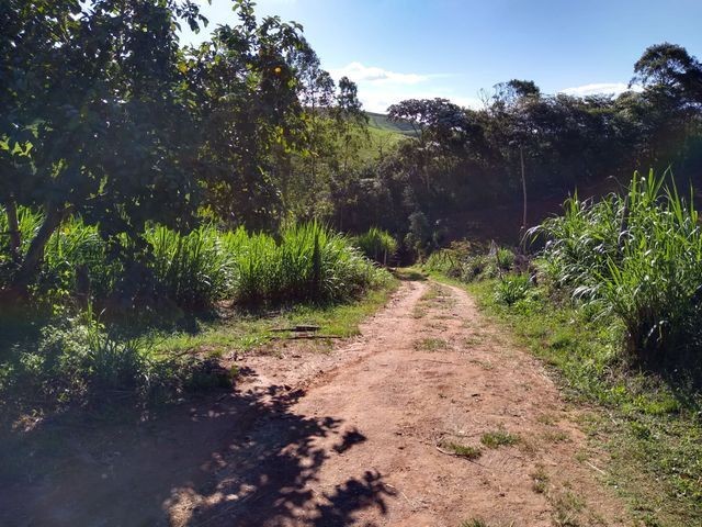 Vendo Sitio em Pouso Alto - MG - Foto 11