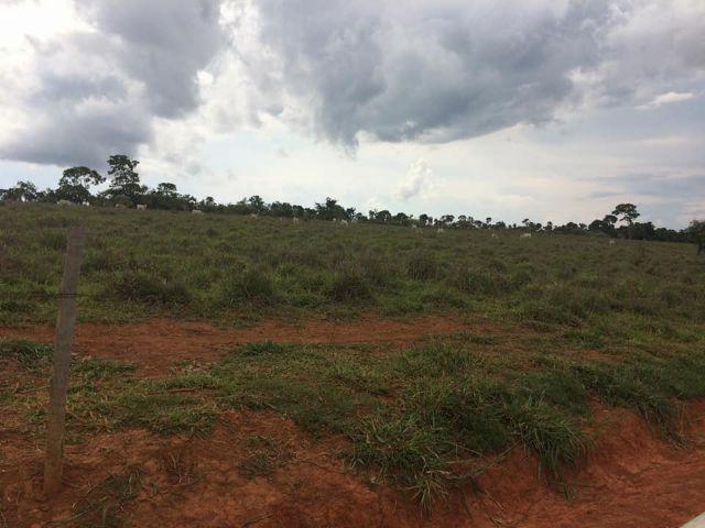 Fazenda rural à venda, Residencial Náutico, Três Marias. - Foto 17