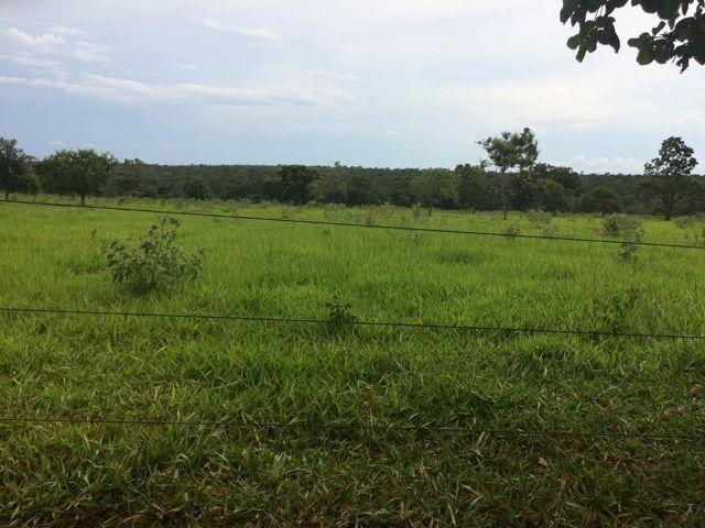 Fazenda rural à venda, Residencial Náutico, Três Marias. - Foto 2