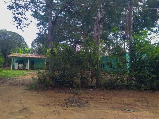 Chácara em Bela Vista - Foto 7