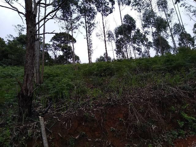 Chácaras Cariacica 15 mil metros - Foto 6