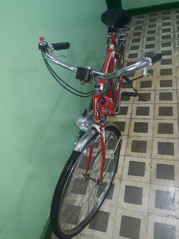 Bicicleta shwinn traveler ano 1966