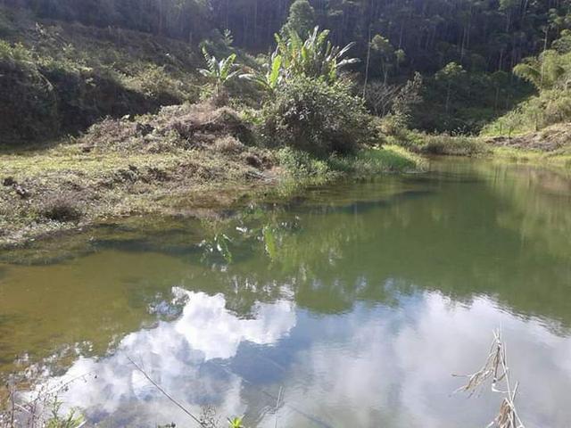 Sítio em Domingo martins - Foto 6