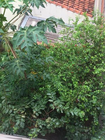 Casa com salão para locação em São Carlos - Foto 17