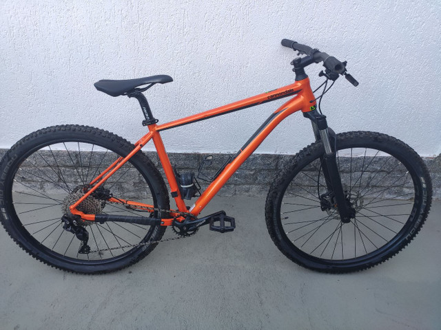 cannondale trail 4 2020