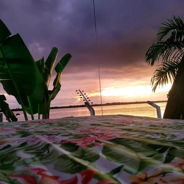 Chácara na beira do rio São Francisco - Foto 10