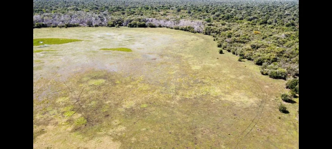 FAZENDA TERRABRASILIS Chácara à Venda, 1452000 por R$ 13.290.000 AD8917 - Foto 5