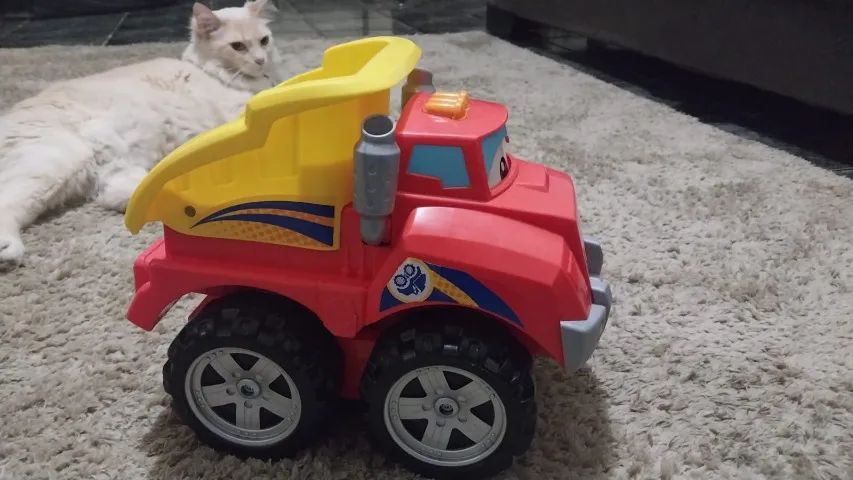 Chuck e seus Amigos - só caminhão  - Foto 3