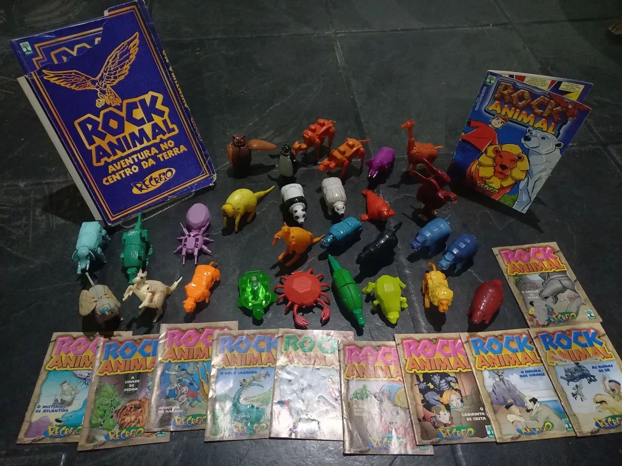 Rock Animal recreio - Foto 2