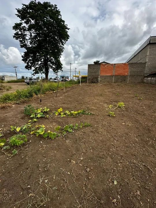 Lote Excelente localização  - Foto 2