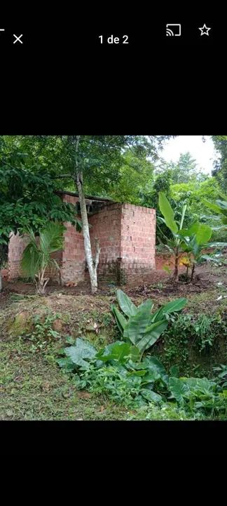 foto - Manaus - Monte das Oliveiras