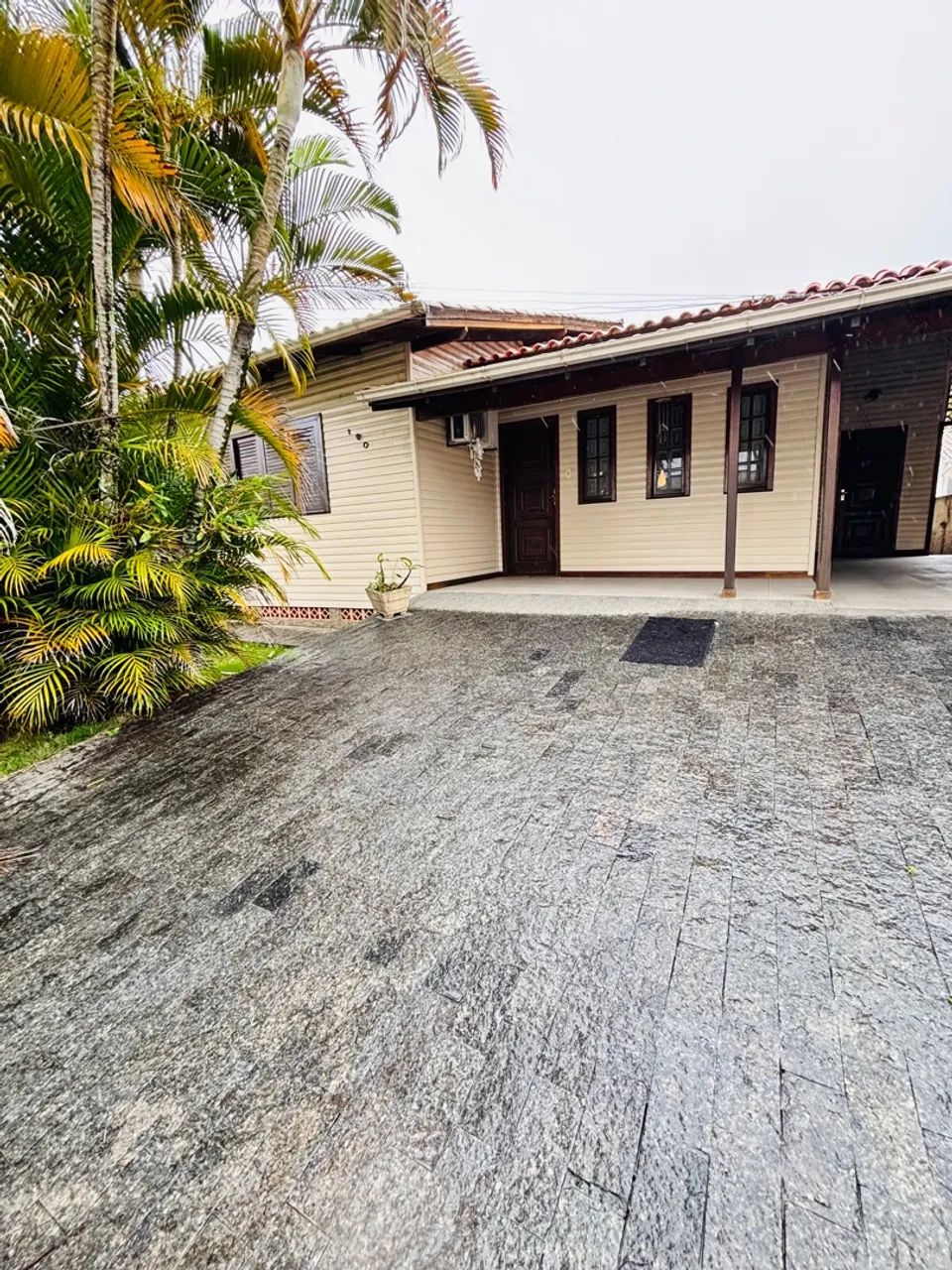 Foto - Tubarão - Fábio Silva