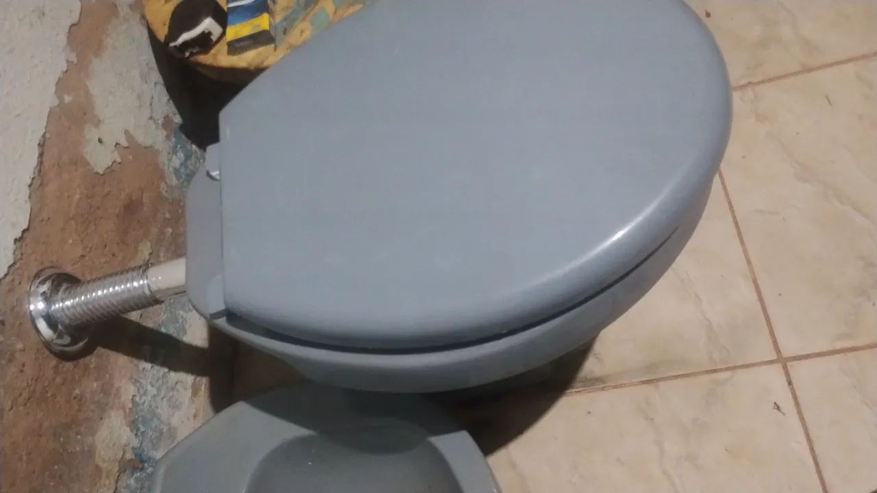 Assento de vaso sanitário e pia