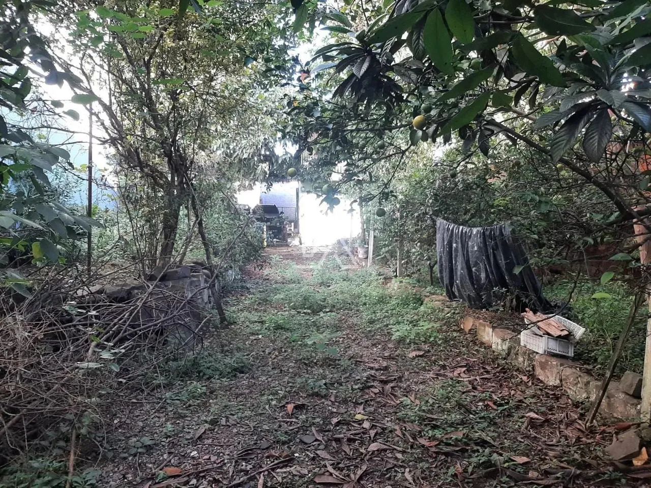 TERRENO NA AVENIDA BRASIL CENTRO - Foto 4