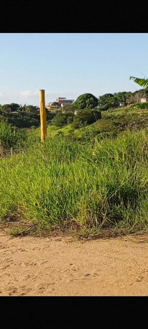 Terreno na principal de lagoa dantas - Foto 4