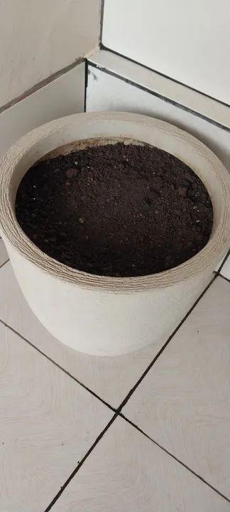 Vaso de Planta grande - Foto 2