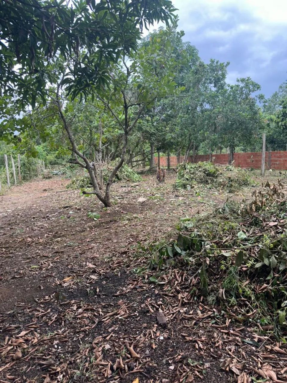 Troco esse sítio por casa  - Foto 6