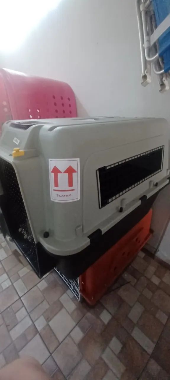 Caixa de Transporte - Foto 4