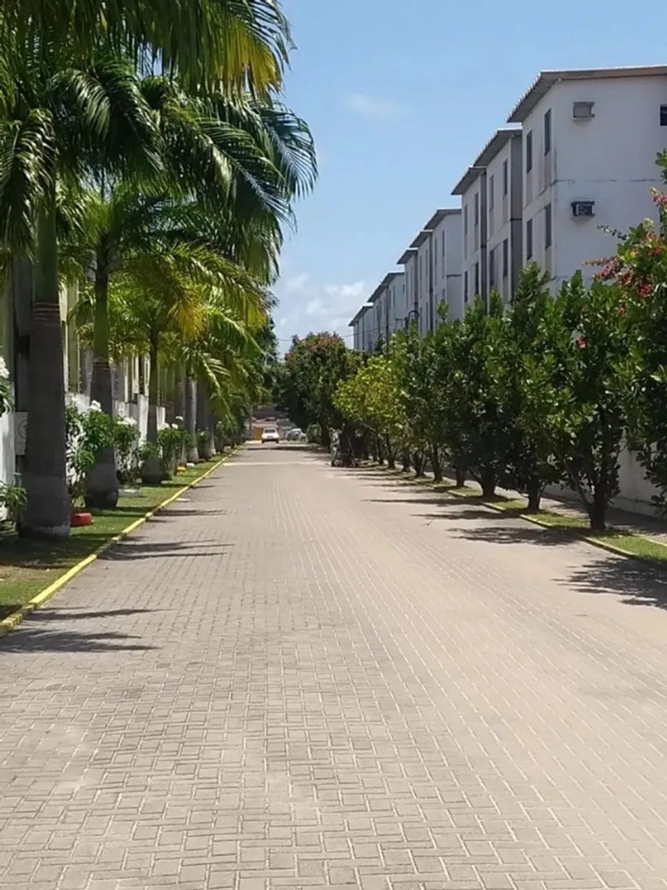 Foto - Paulista - Janga