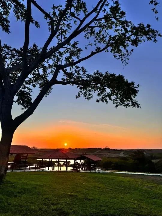 FAZENDA REAL III - Foto 4