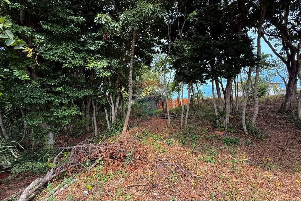 Terreno à venda - no Alto da Boa Vista - Búzios - Foto 4