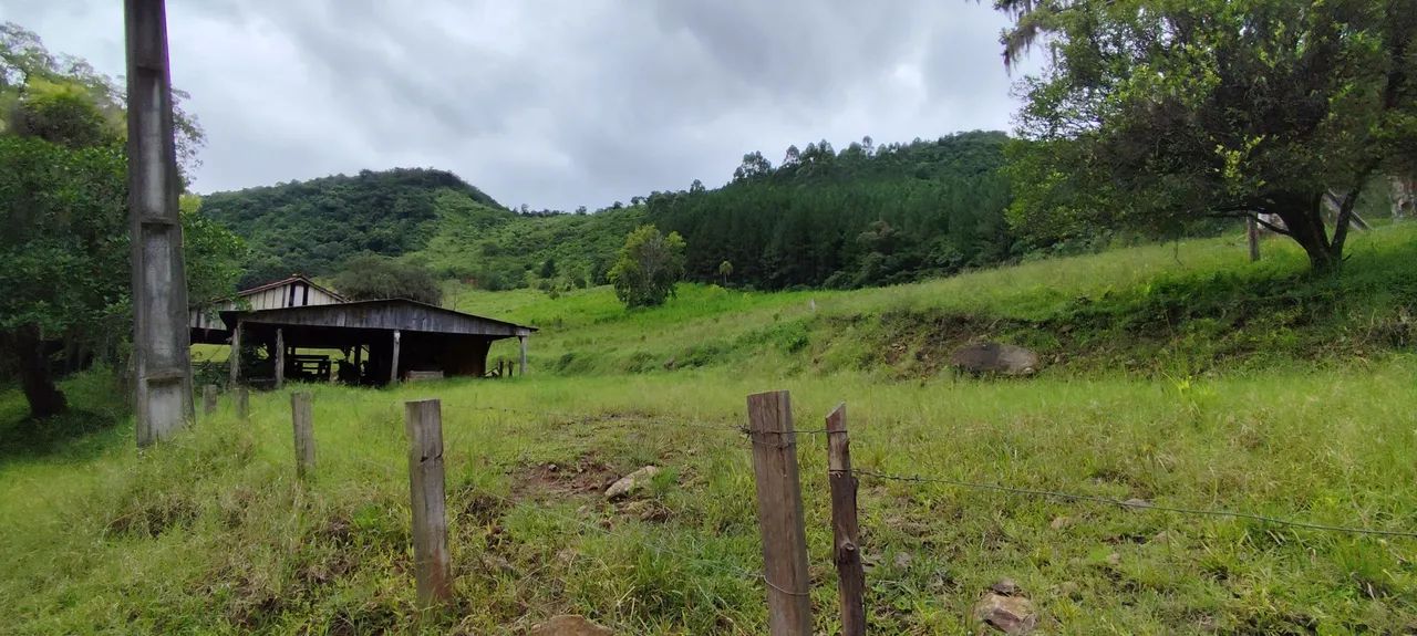 Chácara 20 hectares, valor 320,000,00 potreiro grande cercado  - Foto 2
