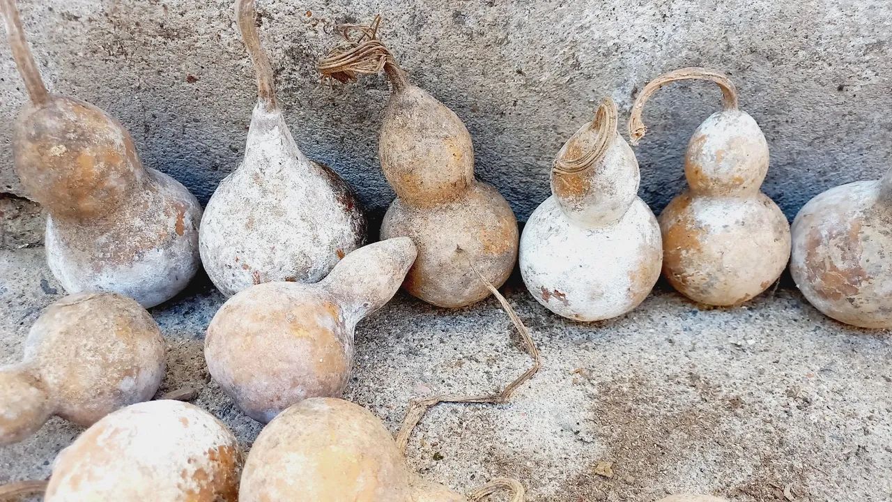 Disponível para venda  - Foto 6