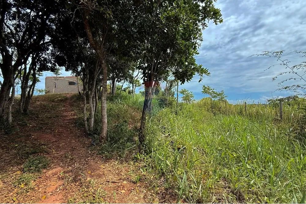 Terreno à venda - no Alto da Boa Vista - Búzios - Foto 5