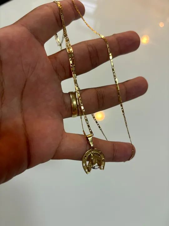Colar de Ouro 18 com Pingente de Ferradura - Foto 2