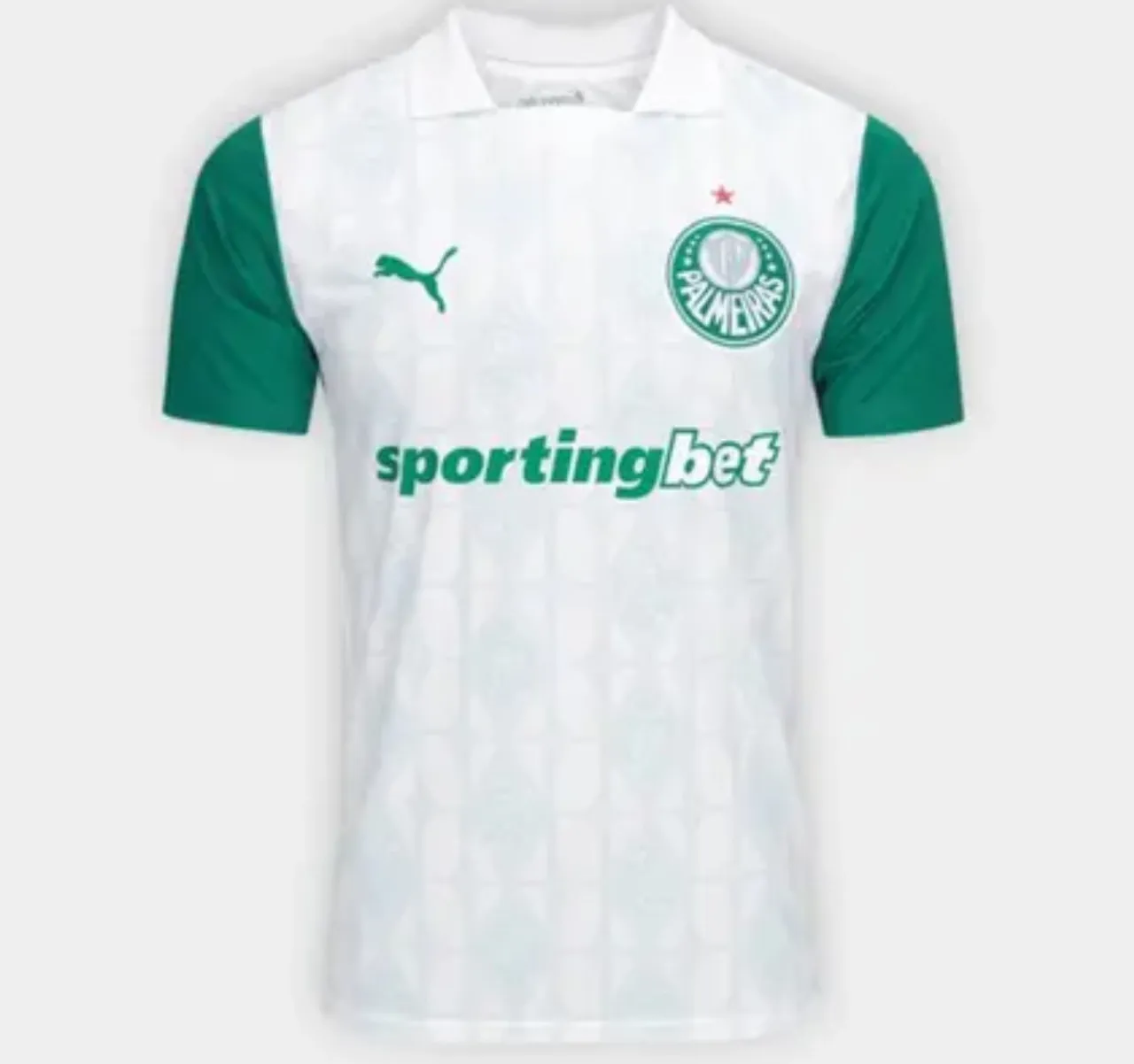 Camisa Palmeiras Away 2024/25 - Puma